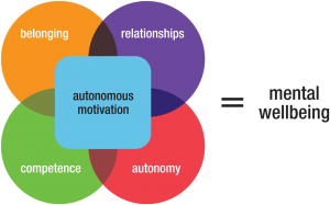Wellbeing essentials: Autonomous Motivation, Belonging, Relationships, Autonomy, and Competence